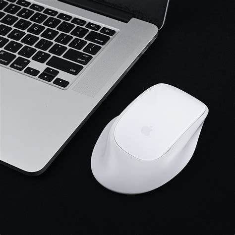 Magic mouse ergonomic case